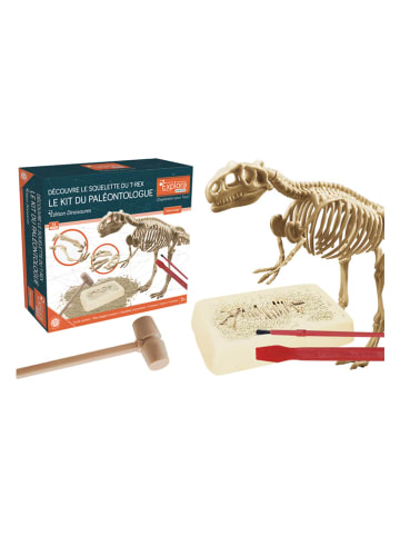 Explora Archäologie-Experiementier-Set - ab 5 Jahren