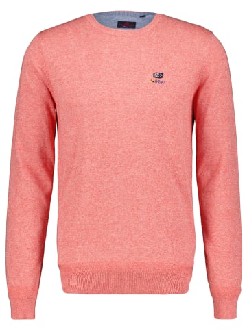 NEW ZEALAND AUCKLAND Sweter w kolorze brzoskwiniowym