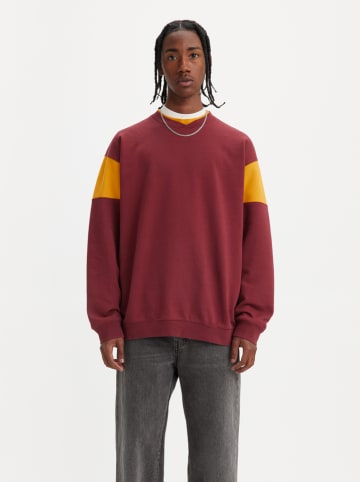 Levi´s Sweatshirt bordeaux