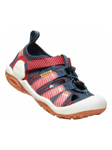 Keen Enkelsandalen "Knotch Creek" donkerblauw/rood