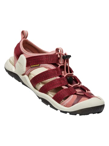 Keen Halbsandalen "CNX II" in Rot/ Rosa