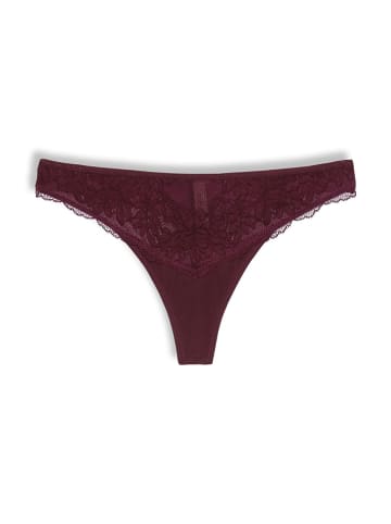 ESPRIT String bordeaux