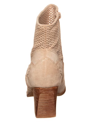 Bellucci Stiefeletten in Beige