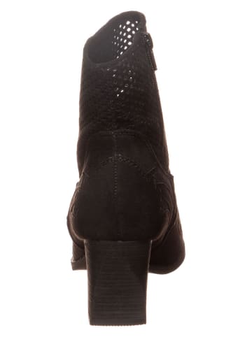Bellucci Stiefeletten in Schwarz