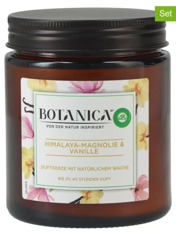 Air Wick 3er-Set: Duftkerze "Botanica", 3 x 205 g