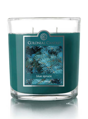Colonial Candle Duftkerze "Blue Spruce" in Blau - 269 g