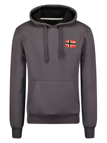 Geographical Norway Bluza "Fondant" w kolorze szarym
