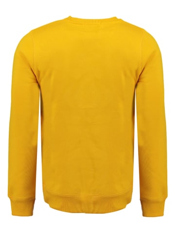 Geographical Norway Sweatshirt "Gantoine" in Senf