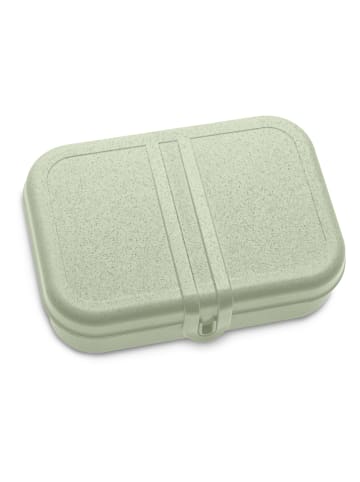 koziol Lunchbox "Pascal L" in Oliv - (B)23 x (H)6 x (T)16,5 cm