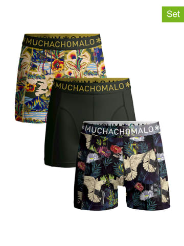 Muchachomalo 3-delige set: boxershorts kaki/meerkleurig