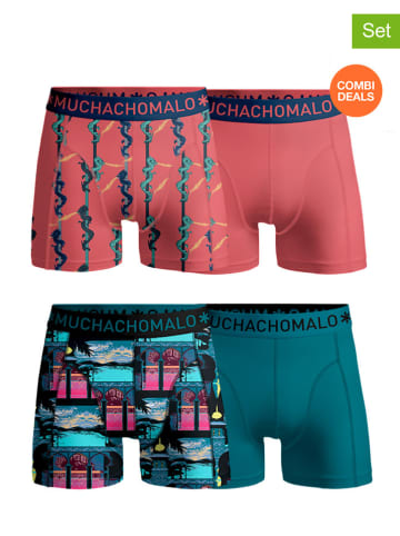 Muchachomalo 4-delige set: boxershorts meerkleurig