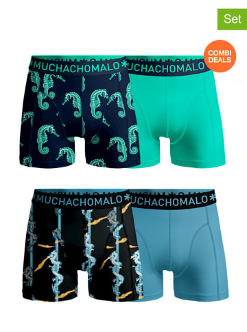 Muchachomalo 4er-Set: Boxershorts in Bunt