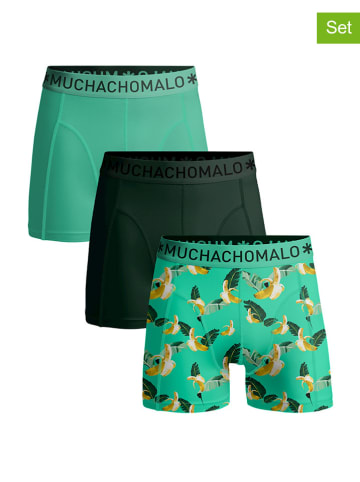 Muchachomalo 3-delige set: boxershorts groen/donkergroen