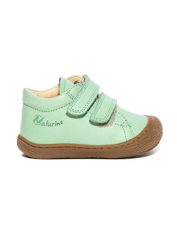 Naturino Leren sneakers groen
