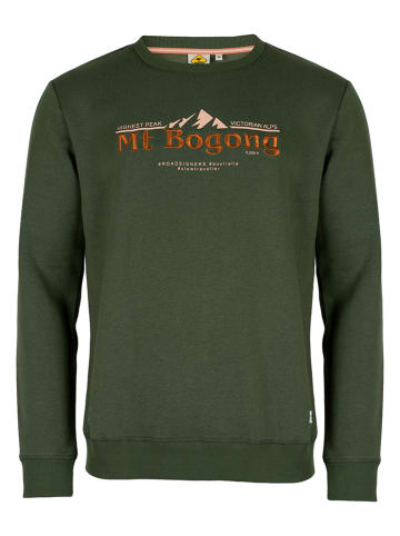 Roadsign Sweatshirt groen