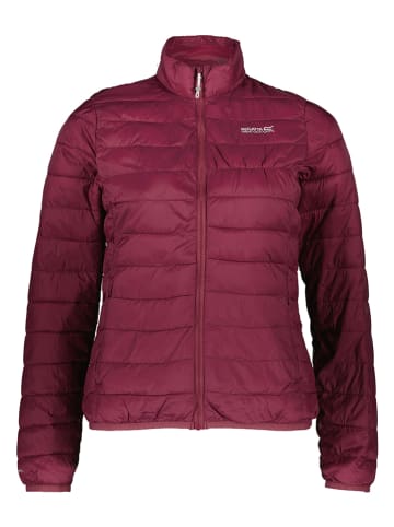 Regatta Steppjacke "Hillpack" in Bordeaux