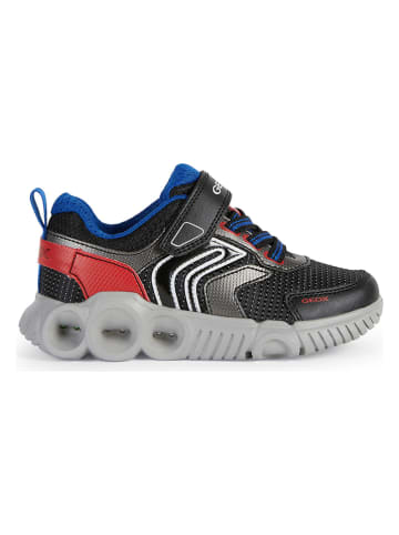 Geox Sneakers "Wroom" in Schwarz/ Rot