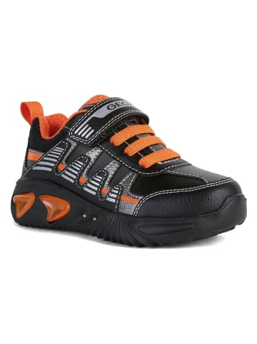 Geox Sneakers "Assister" in Schwarz/ Orange