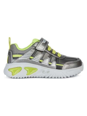 Geox Sneakers "Assister" grijs/groen
