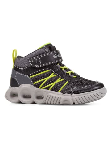 Geox Sneakers "Wroom" zwart/groen