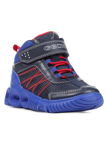 Geox Sneakers "Wroom" in Dunkelblau/ Blau