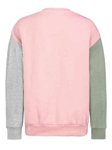 Sublevel Sweatshirt in Bunt