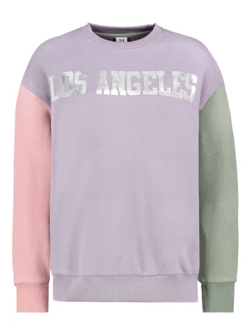 Sublevel Sweatshirt meerkleurig