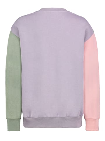 Sublevel Sweatshirt meerkleurig