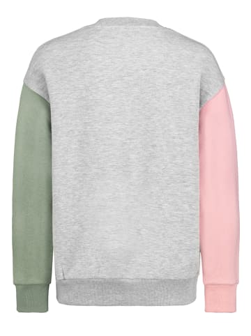 Sublevel Sweatshirt meerkleurig