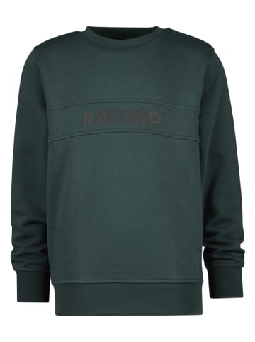 RAIZZED® Sweatshirt "Macon" groen
