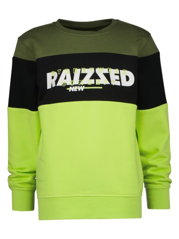 RAIZZED® Sweatshirt "Morgan" groen