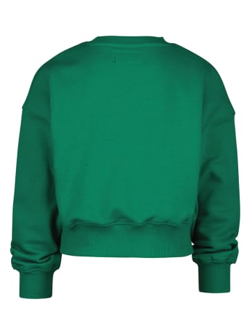 RAIZZED® Sweatshirt "Lincoln" in Grün