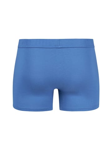 Skiny Boxershorts in Blau