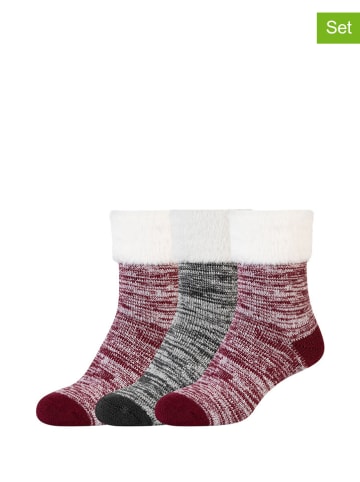camano 3-delige set: sokken bordeaux/grijs
