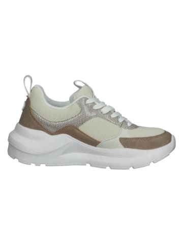 Bullboxer Sneakers in Beige/ Weiß