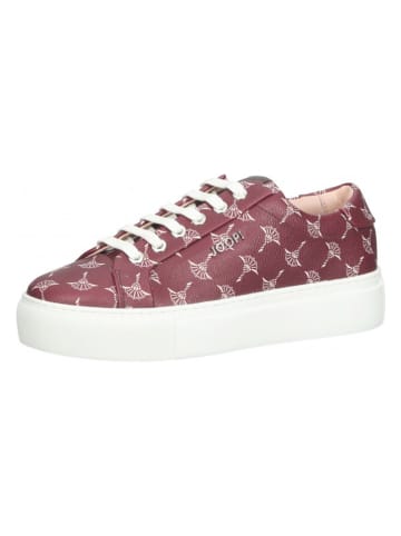 JOOP! Leder-Sneakers in Bordeaux/ Creme