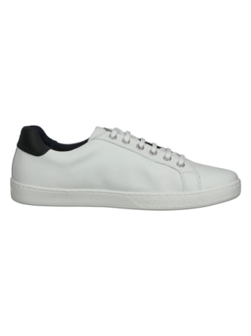 JOOP! Leren sneakers wit/zwart