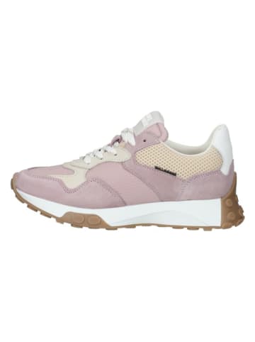 Bullboxer Sneakers in Rosa/ Beige