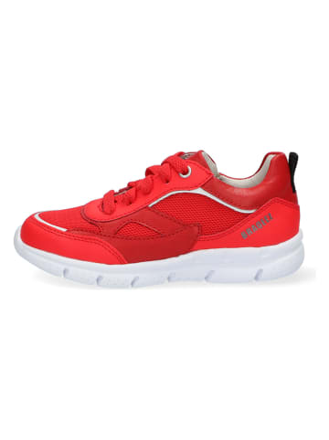 Braqeez Leren sneakers rood