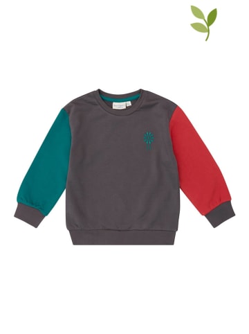 Sense Organics Sweatshirt grijs/groen/rood