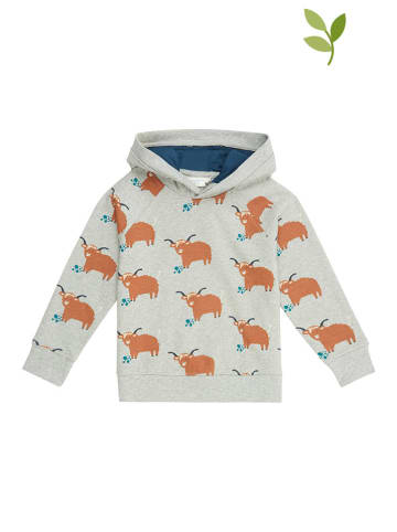 Sense Organics Hoodie in Grau/ Bunt