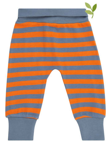 Sense Organics Sweatbroek grijs/oranje