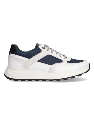 McGregor Sneakers wit/donkerblauw