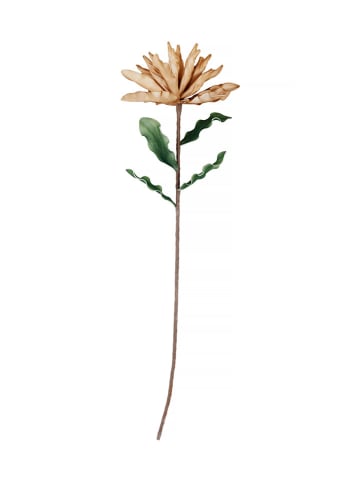 Eightmood Kunstpflanze in Beige - (L)100 cm