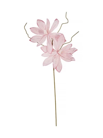Eightmood Kunstpflanze in Pink - (L)80 cm