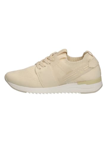 Caprice Sneakers in Creme