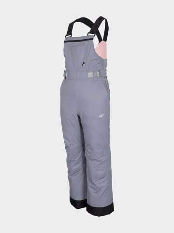 4F Ski-/snowboardbroek grijs