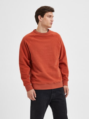 SELECTED HOMME Sweatshirt "Karl" roodbruin