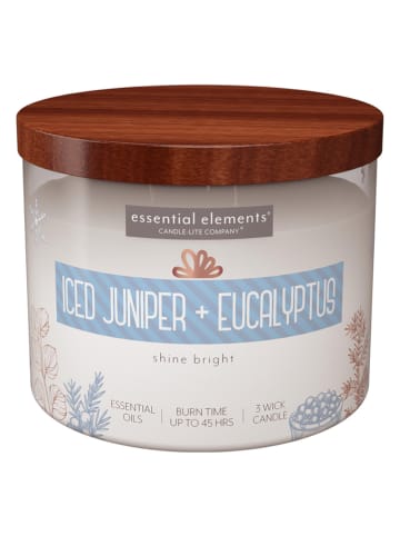 CANDLE-LITE Duftkerze "Iced Juniper & Eucalyptus" in Braun/ Weiß - 418 g