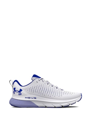 Under Armour Sneakers wit/blauw